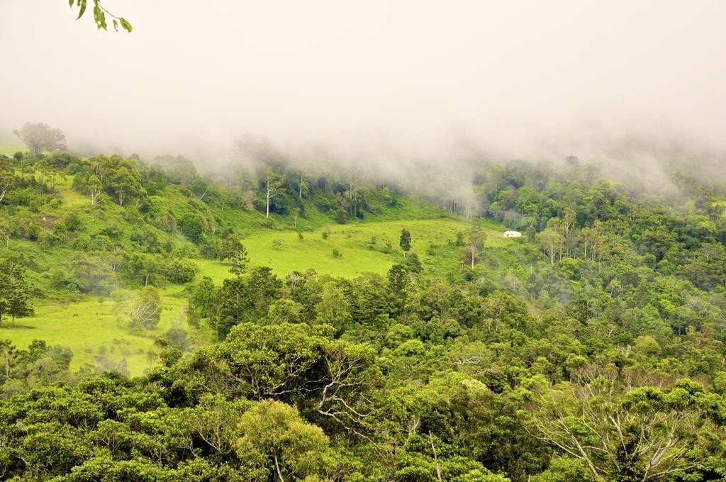 Escarpment Retreat & Day Spa For Couples Mount Tamborine Exteriör bild