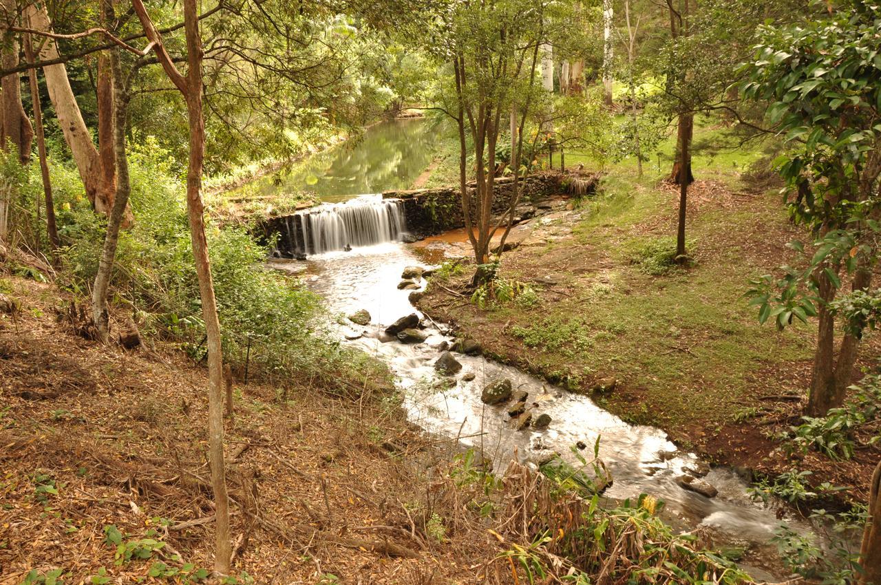 Escarpment Retreat & Day Spa For Couples Mount Tamborine Exteriör bild